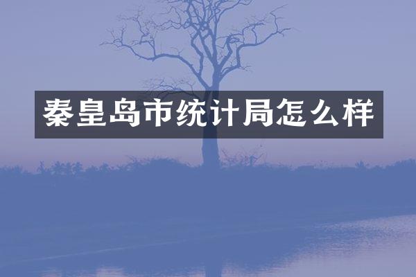 秦皇岛市统计局怎么样