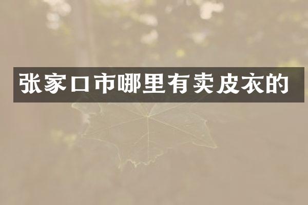 张家口市哪里有卖皮衣的