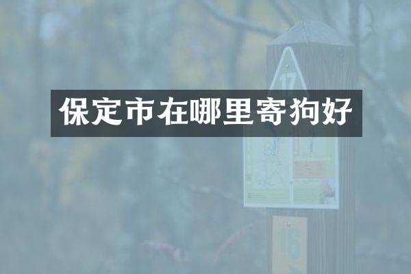 保定市在哪里寄狗好