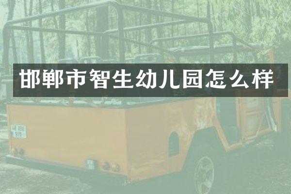 邯郸市智生幼儿园怎么样
