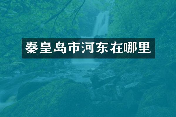 秦皇岛市河东在哪里