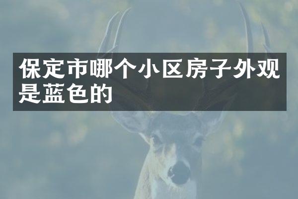 保定市哪个小区房子外观是蓝色的