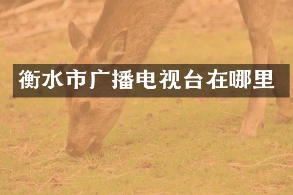 衡水市广播电视台在哪里