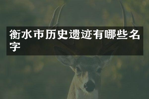 衡水市历史遗迹有哪些名字