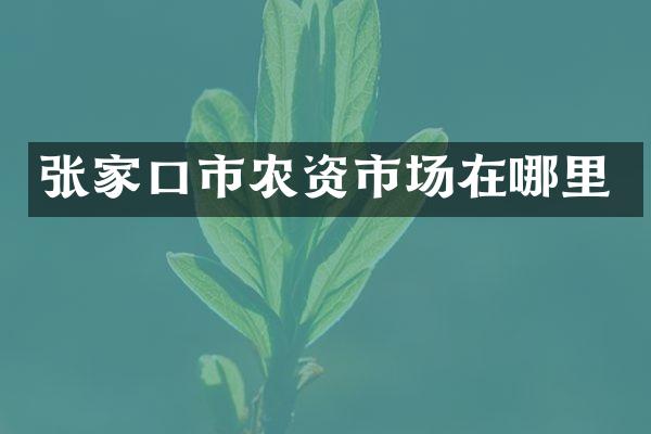 张家口市农资市场在哪里