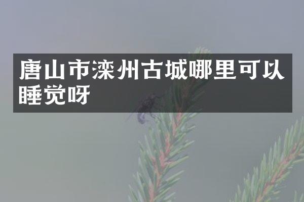 唐山市滦州古城哪里可以睡觉呀