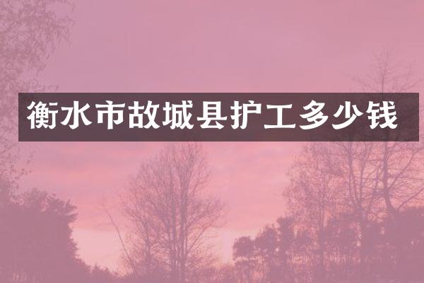 衡水市故城县护工多少钱