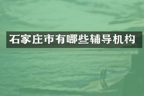 石家庄市有哪些辅导机构