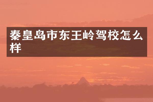 秦皇岛市东王岭驾校怎么样