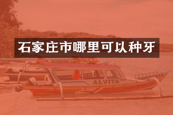 石家庄市哪里可以种牙