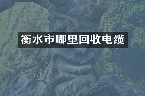 衡水市哪里回收电缆