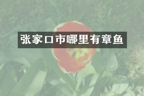 张家口市哪里有章鱼