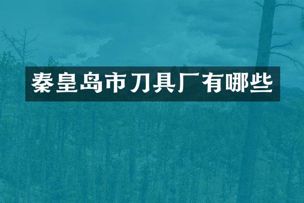 秦皇岛市刀具厂有哪些