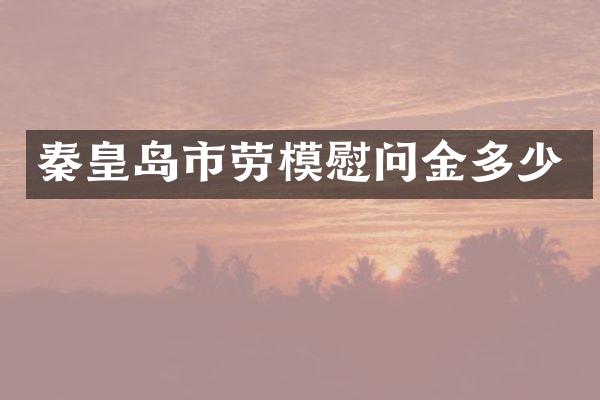秦皇岛市劳模慰问金多少