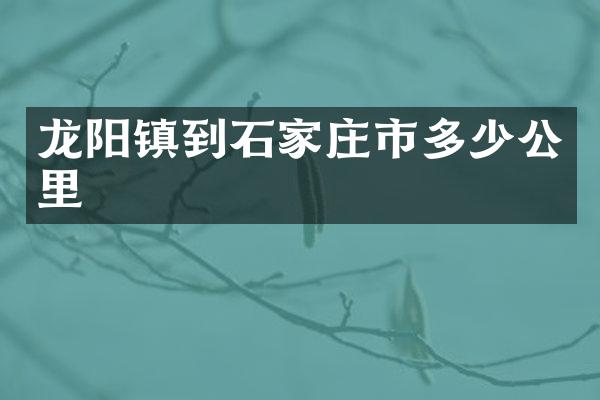 龙阳镇到石家庄市多少公里
