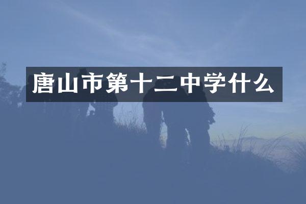 唐山市第十二中学什么