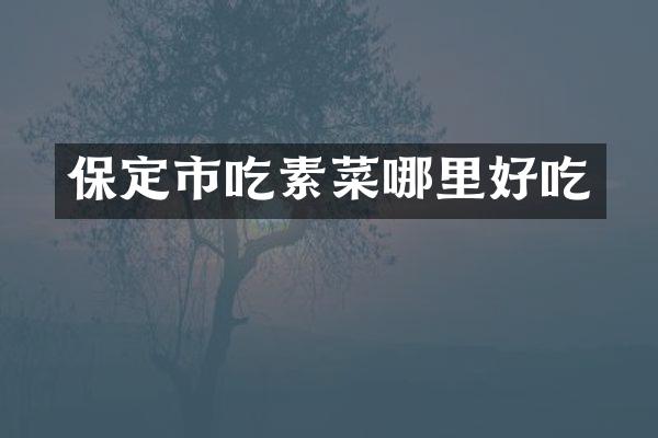 保定市吃素菜哪里好吃