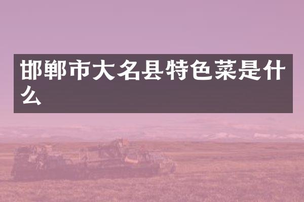 邯郸市大名县特色菜是什么