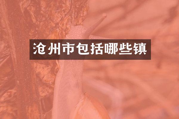 沧州市包括哪些镇