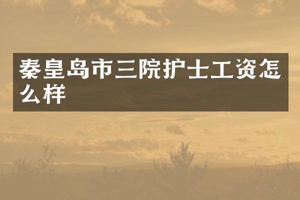 秦皇岛市三院护士工资怎么样