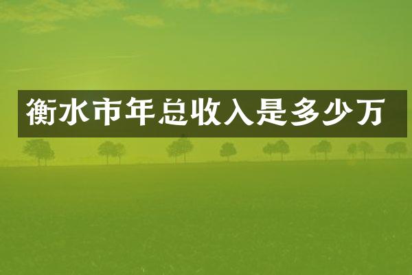 衡水市年总收入是多少万