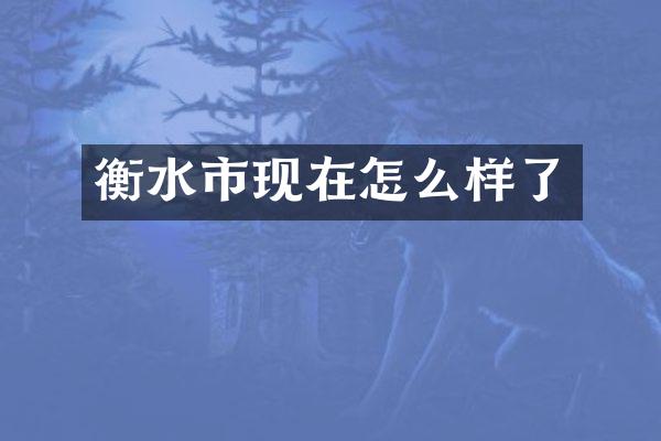 衡水市现在怎么样了