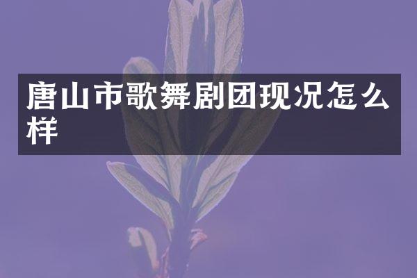唐山市歌舞剧团现况怎么样
