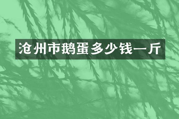 沧州市鹅蛋多少钱一斤
