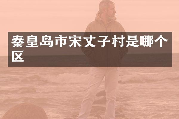 秦皇岛市宋丈子村是哪个区
