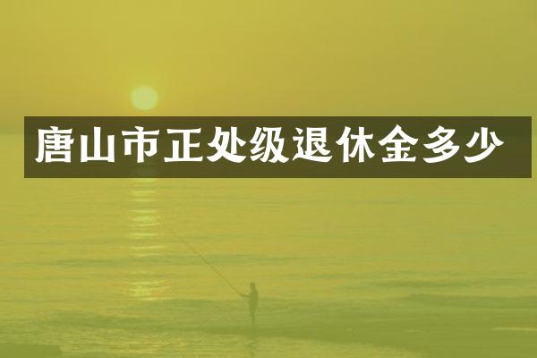 唐山市正处级退休金多少