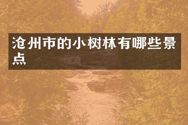 沧州市的小树林有哪些景点