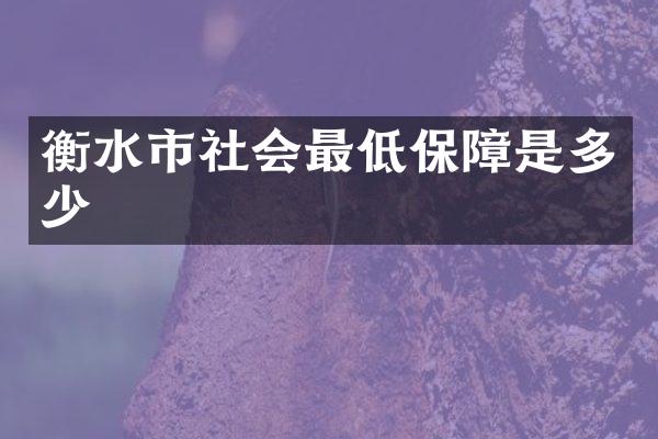 衡水市社会最低保障是多少