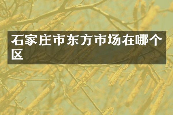 石家庄市东方市场在哪个区