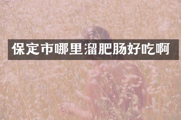保定市哪里溜肥肠好吃啊