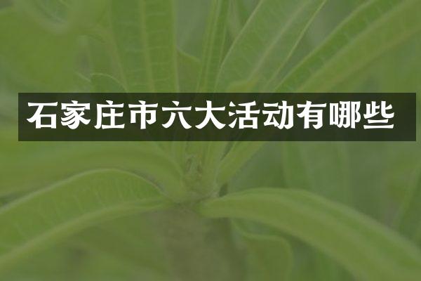 石家庄市六大活动有哪些