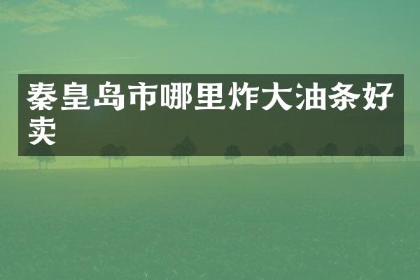 秦皇岛市哪里炸大油条好卖
