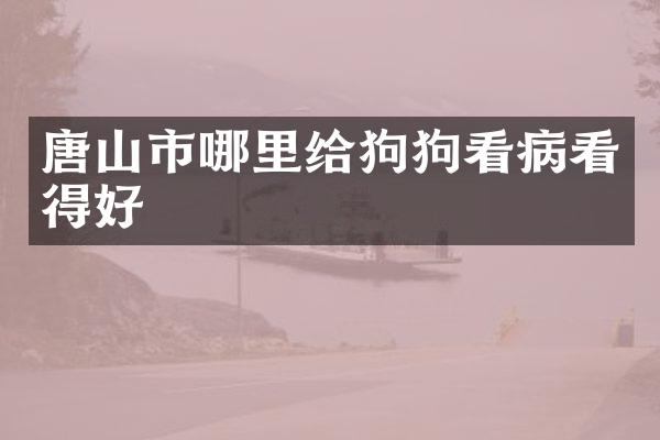 唐山市哪里给狗狗看病看得好