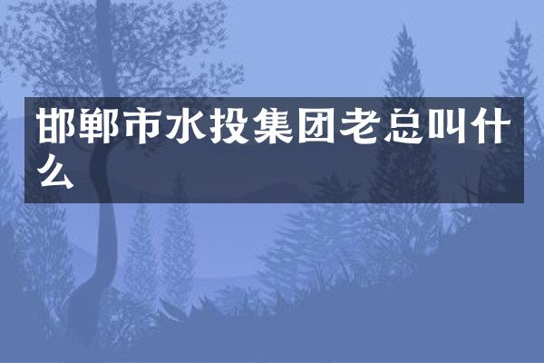 邯郸市水投集团老总叫什么
