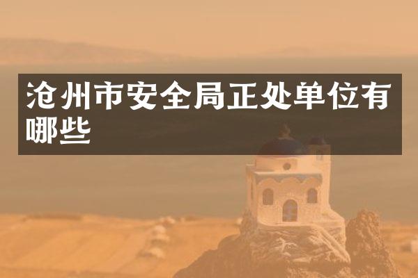 沧州市安全局正处单位有哪些