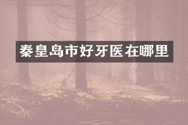 秦皇岛市好牙医在哪里
