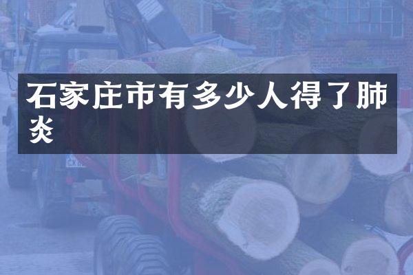 石家庄市有多少人得了肺炎