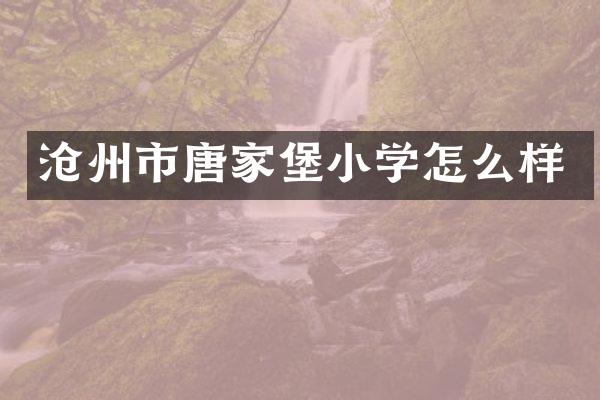 沧州市唐家堡小学怎么样
