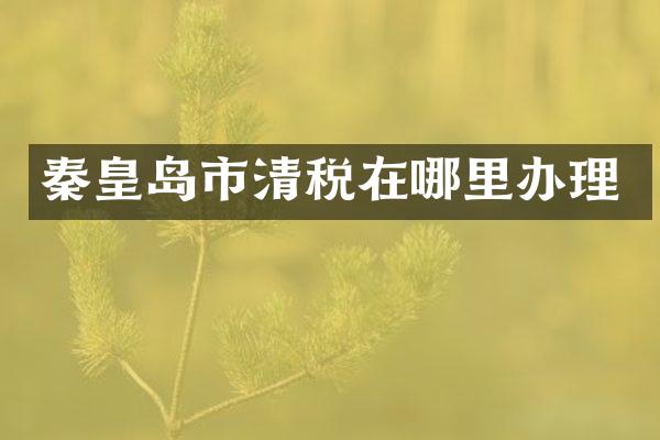 秦皇岛市清税在哪里办理