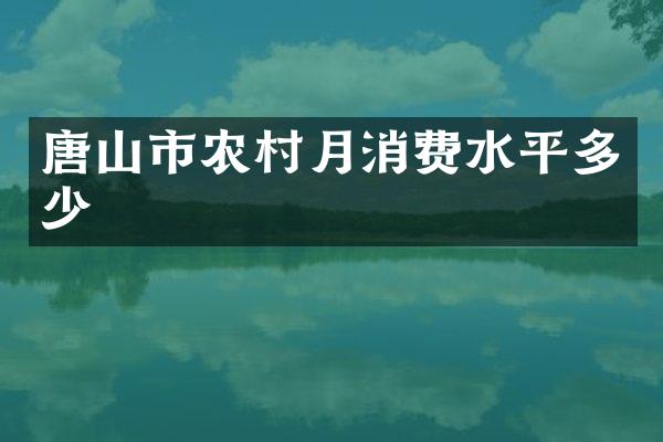 唐山市农村月消费水平多少