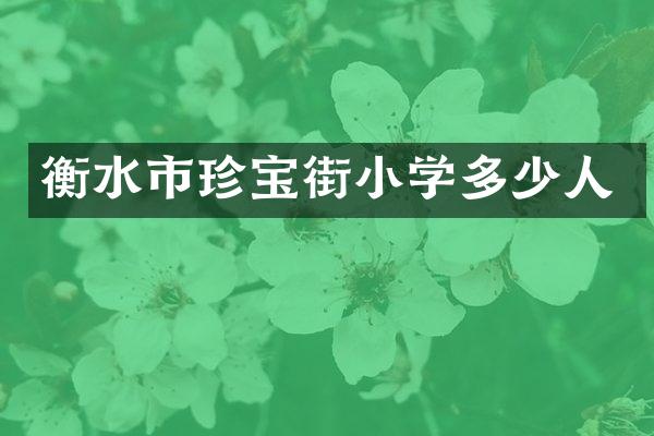 衡水市珍宝街小学多少人