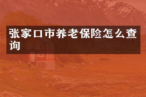张家口市养老保险怎么查询