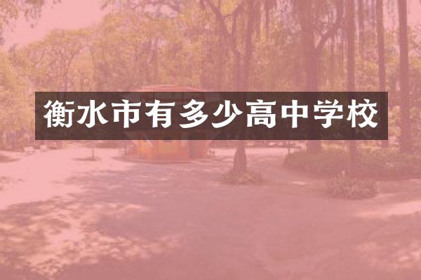 衡水市有多少高中学校