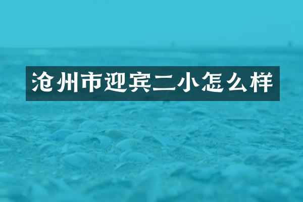 沧州市迎宾二小怎么样
