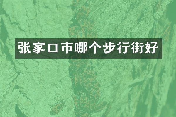 张家口市哪个步行街好