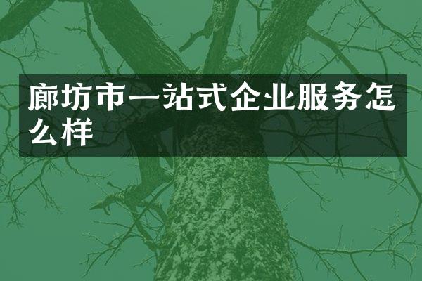 廊坊市一站式企业服务怎么样